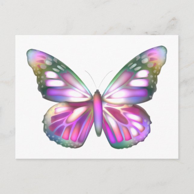 Colourful Butterflies Postcard (Front)