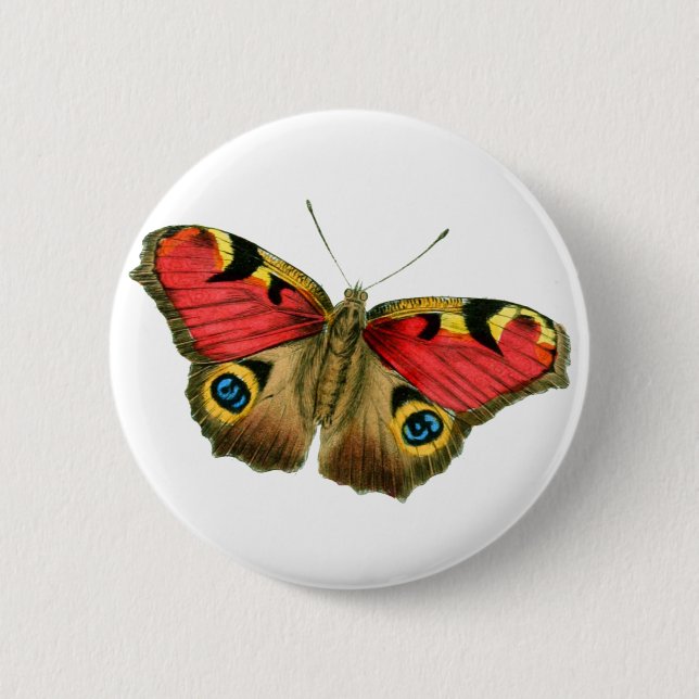 Colourful butterfly 6 cm round badge (Front)