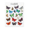 Colourful Butterfly Collection