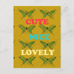 Colourful Butterfly Décor: Cute, Nice, and Lovely. Postcard