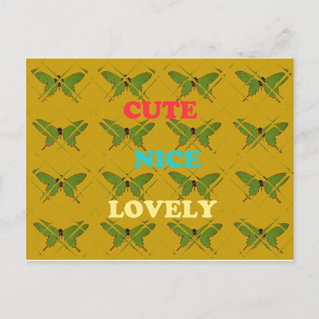 Colourful Butterfly Décor: Cute, Nice, and Lovely. Postcard (Front)
