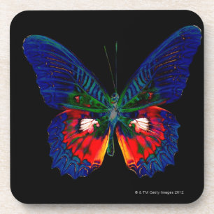 Colourful Butterfly design against black backdrop Coaster
