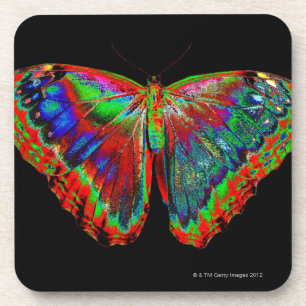Colourful Butterfly design against black backdrop Coaster