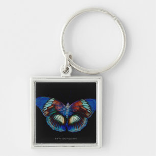 Colourful Butterfly design against black backdrop Key Ring