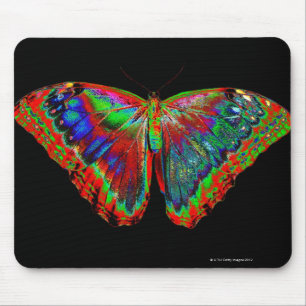 Colourful Butterfly design against black backdrop Mouse Pad