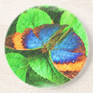 Colourful Butterfly Drawing Nature Coaster