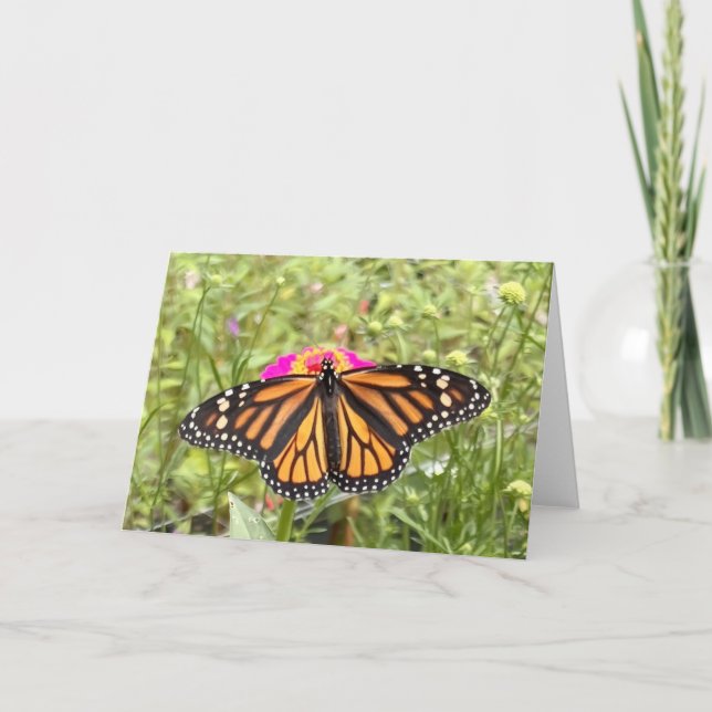 Colourful Butterfly Greeting  Card (Front)