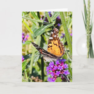 Colourful Butterfly Greeting Card