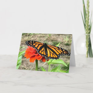 Colourful Butterfly Greeting Card