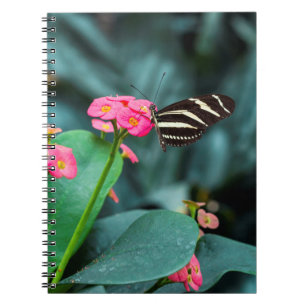 colourful butterfly in the garden notebook