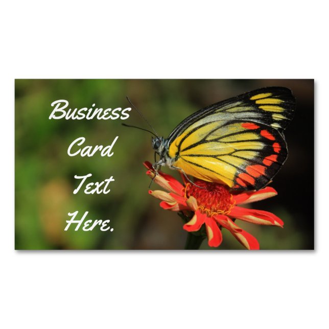 Colourful Butterfly Magnetic Business Card (Front)