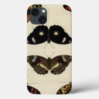 Colourful Butterfly Medley on Cream Background