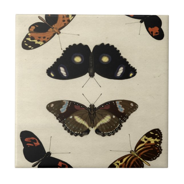 Colourful Butterfly Medley on Cream Background Ceramic Tile (Front)