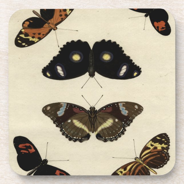 Colourful Butterfly Medley on Cream Background Coaster (Front)
