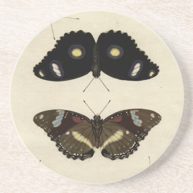 Colourful Butterfly Medley on Cream Background Coaster (Front)
