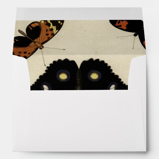 Colourful Butterfly Medley on Cream Background Envelope (Back (Bottom))