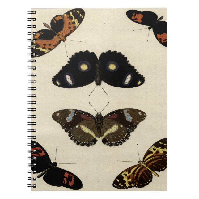 Colourful Butterfly Medley on Cream Background Notebook (Front)