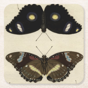 Colourful Butterfly Medley on Cream Background Square Paper Coaster