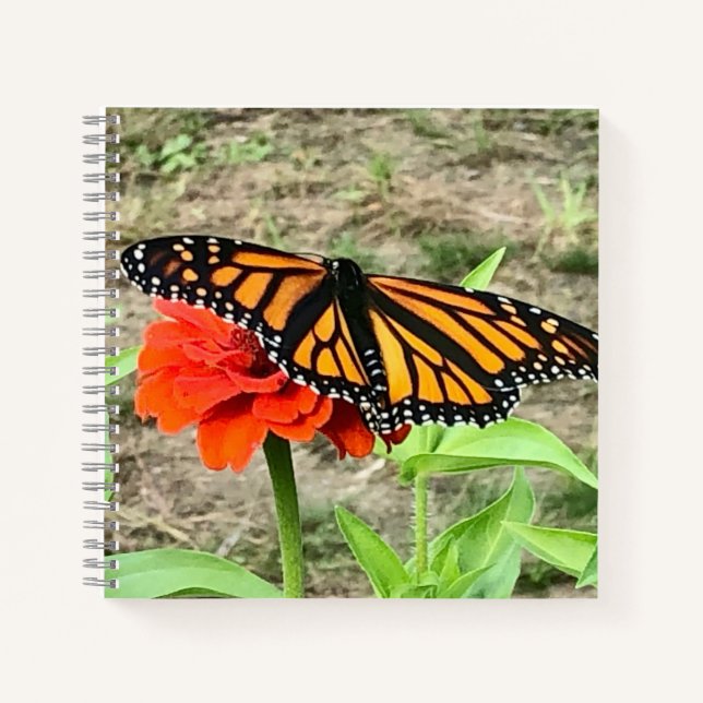 Colourful Butterfly  Notebook (Front)