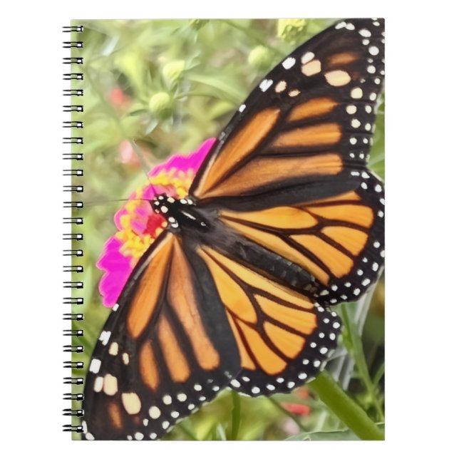 Colourful Butterfly  Notebook (Front)