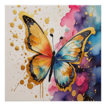 Colourful Butterfly