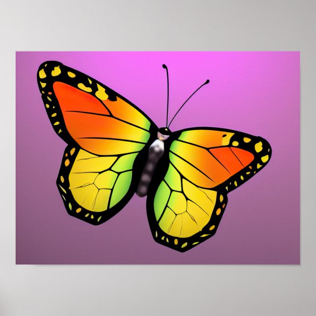 Colourful butterfly poster (Front)
