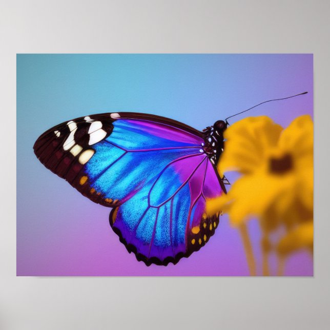 Colourful butterfly poster (Front)