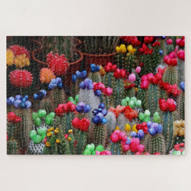 Colourful cacti jigsaw puzzle (Horizontal)