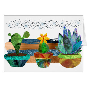 Colourful Cactus and Succulents