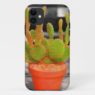 Colourful Cactus iPhone 11 Case