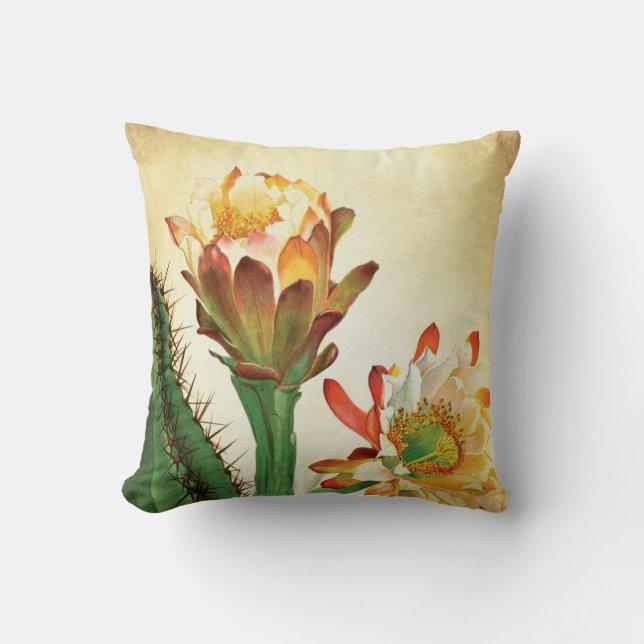 Colourful Cactus Flower Vintage Botanical Cushion (Front)
