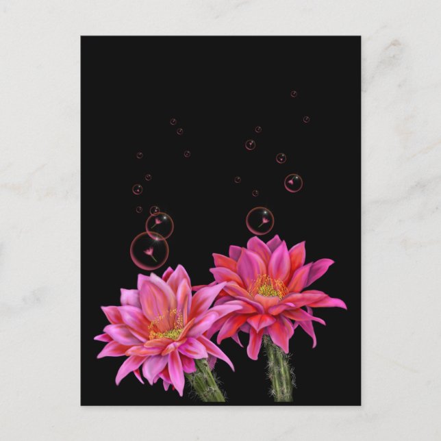 Colourful Cactus Flowers with Bubbles Poster Postcard (Front)