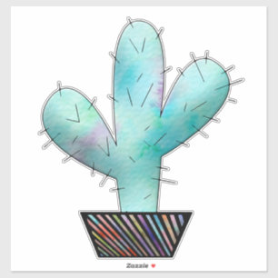 Colourful Cactus Garden