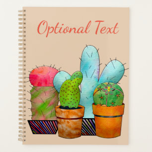 Colourful Cactus Garden Planner