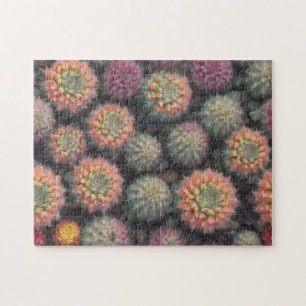 Colourful Cactus Jigsaw Puzzle