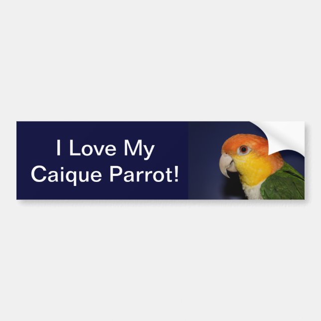 Colourful Caique Parrot Bumper Sticker (Front)