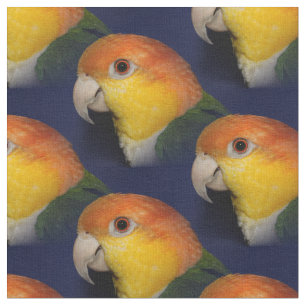 Colourful Caique Parrot Fabric