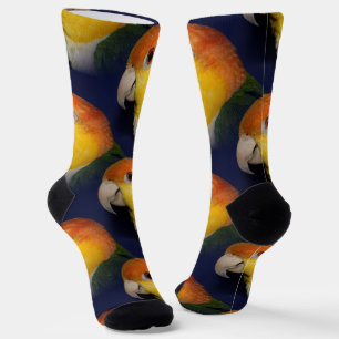 Colourful Caique Parrot Socks