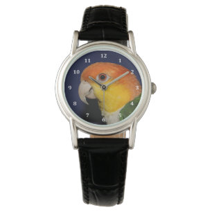 Colourful Caique Parrot Watch