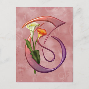 Colourful Calla Initial T Postcard