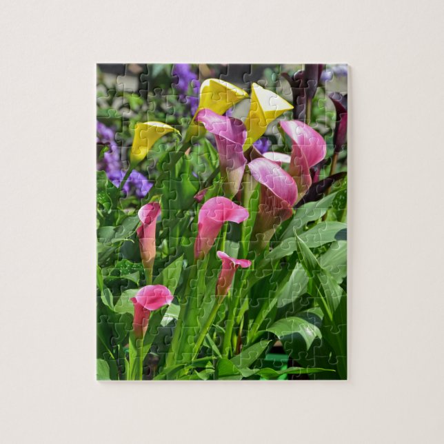 Colourful calla lily flowers jigsaw puzzle (Vertical)