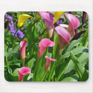 Colourful calla lily flowers mouse pad