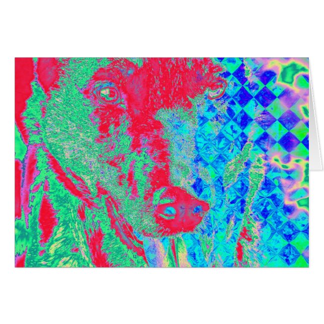 Colourful Canine (Front Horizontal)