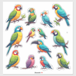 Colourful Cartoon Parrots for Kids & Gifts