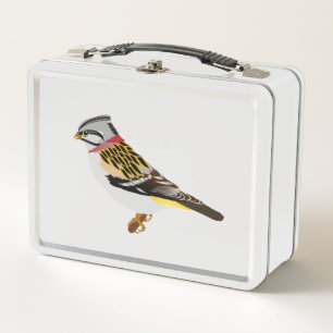 Colourful cartoon yellow and brown sparrow metal lunch box