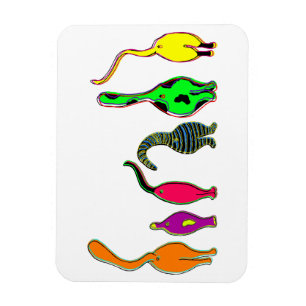 Colourful Cat Butts Magnet