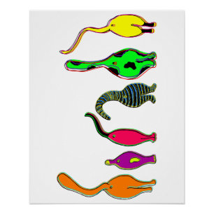 Colourful Cat Butts Poster