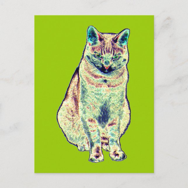 Colourful Cat Postcard (Front)