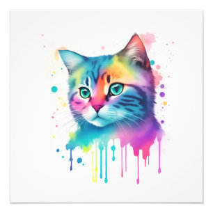 Colourful cat wall art
