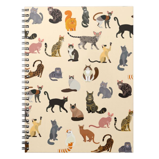 Colourful Cats: Different Breeds Pattern Notebook (Front)